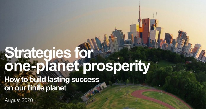Schneider Electric lanza ebook para revertir el déficit planetario