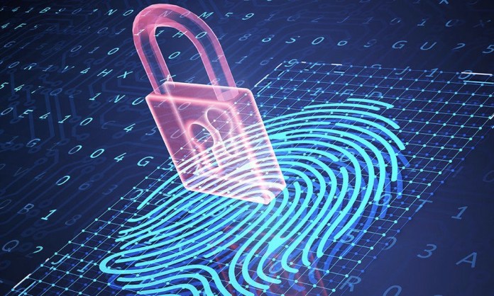 Seguridad-1