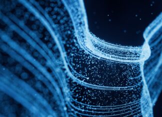 IBM invierte en las habilidades y experiencia del ecosistema para impulsar el crecimiento
