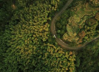 Día de la Tierra: ¿Por qué la electricidad 4.0 es una vía directa al Carbon Zero?